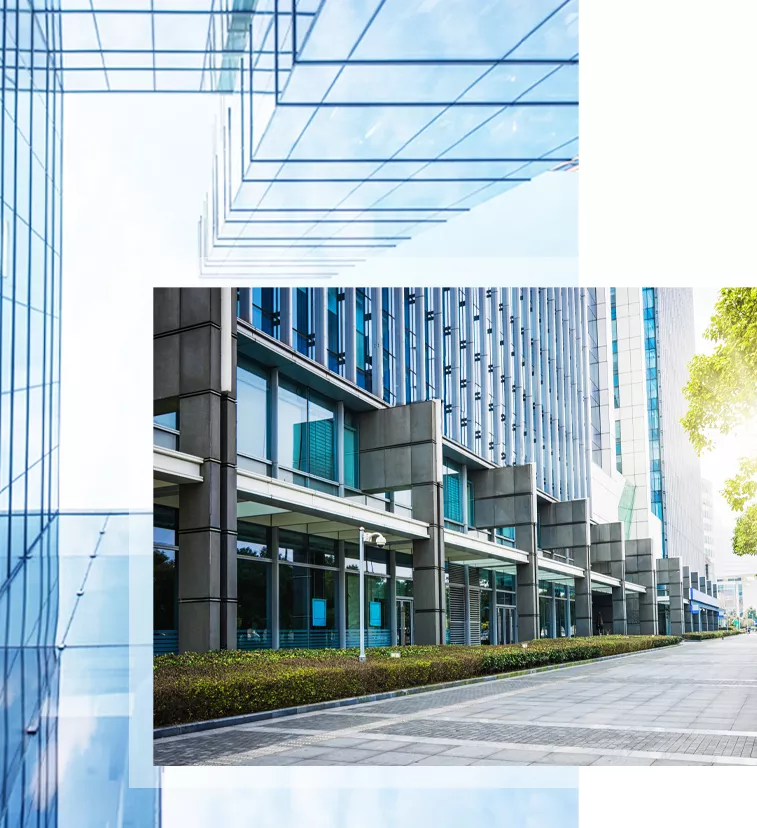 Why Should You Invest in Denge Yapı?